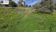Kalamaki Kreta, Kalamaki Grundstück 2.600 m² zu verkaufen Grundstück kaufen